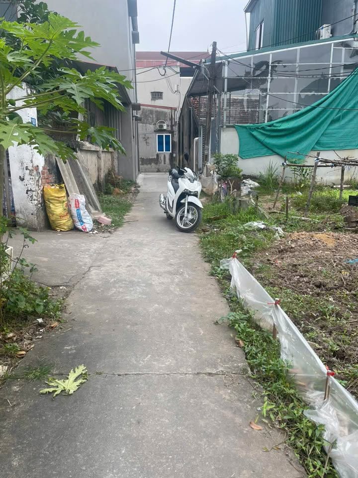 Đất lô góc 90m² xã Thắng Lợi, Thường Tín - Giá chỉ 2.88 tỷ!