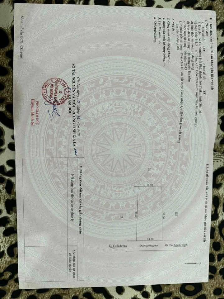 Đất nền 388m² tại tổ 15, phường Hội Phú, Gia Lai - Giá chỉ 180 triệu, thương lượng nhẹ!