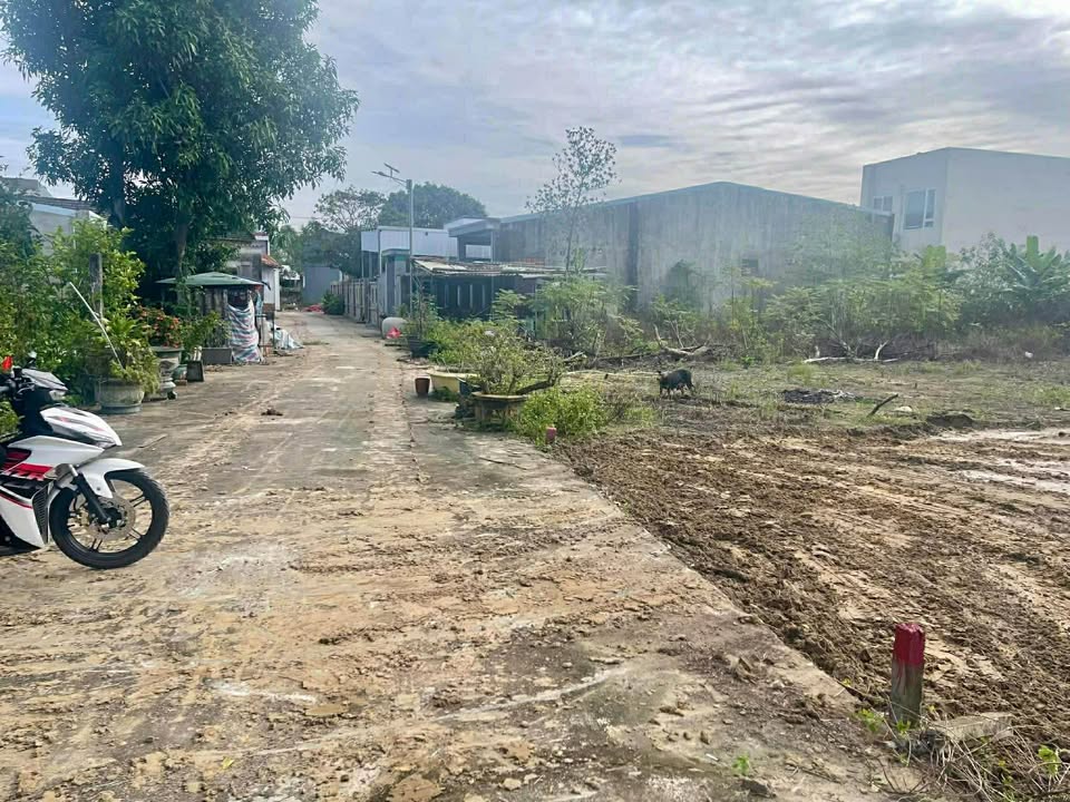 Đất nền Hòa Xuân Đà Nẵng 128m² giá 1.65 tỷ - Tiện ích đầy đủ, không ngập lụt!