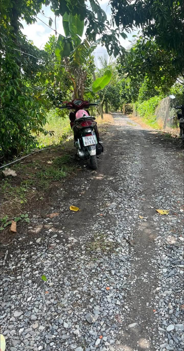 Đất vườn Bình Hàng Tây 2440m² giá 400 triệu - Sổ hồng chính chủ, thương lượng ngay!