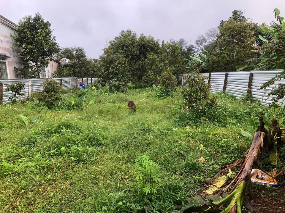 Đất nền Pơng Drang 756m² giá 1.55 tỷ - Cơ hội đầu tư sinh lời!