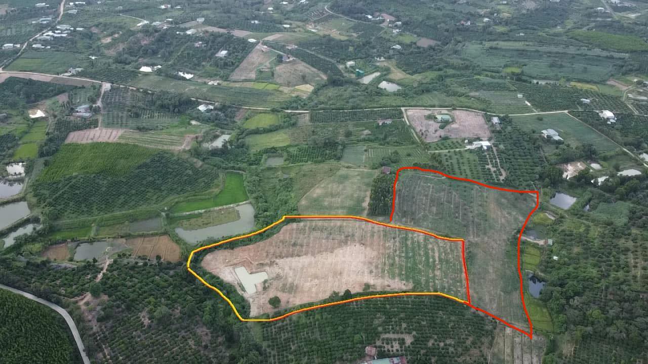 Farm 3,4 hecta tại Ea Sar, Đắk Lắk giá 3,1 tỷ - Đường ô tô vào tận đất!