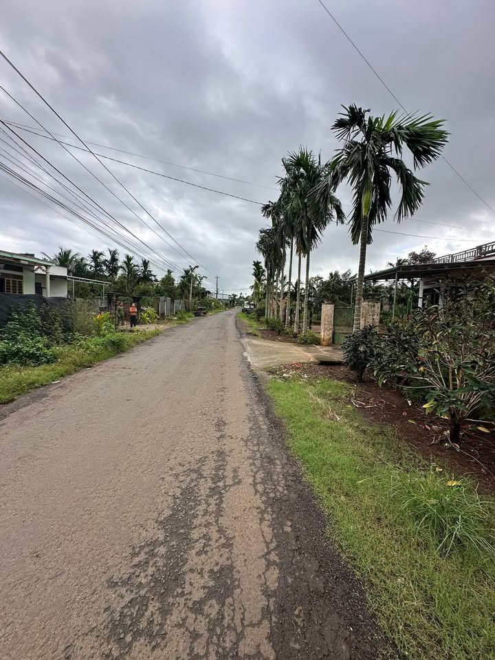 Đất nền kinh doanh mặt tiền đường Phước Trạch Eaphe 684m² giá 6.84 tỷ - Cơ hội đầu tư lý tưởng!