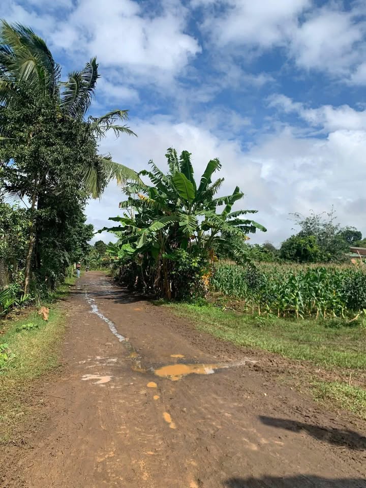 Đất nền 200m² xã Ea Phê giá chỉ 200 triệu - Đầu tư sinh lời ngay!