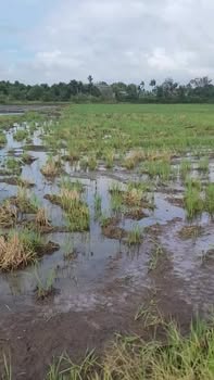 Đất nông nghiệp tại Quốc lộ 26, Ea Kar, Đắk Lắk - Diện tích 14,400m², Giá thỏa thuận