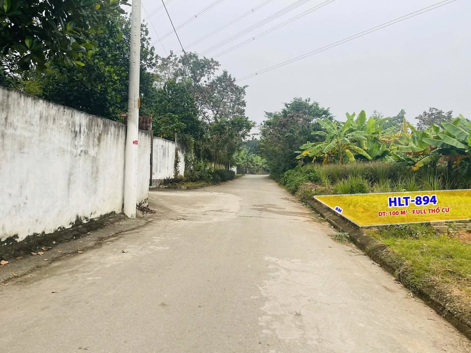 Đất thổ cư xã Đạo Tú, Tam Dương, Vĩnh Phúc 100m² chỉ 1 tỷ - Đầu tư sinh lời ngay!