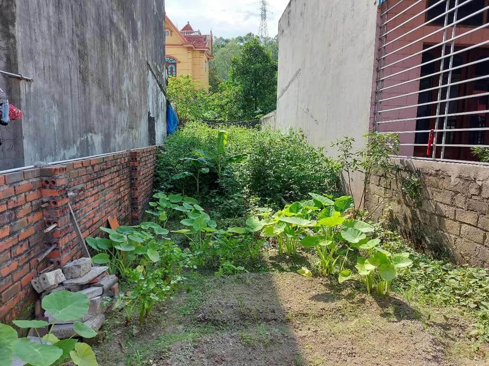 Đất nền Cửa Ông 72m² giá 1.3 tỷ - Cơ hội đầu tư tuyệt vời!