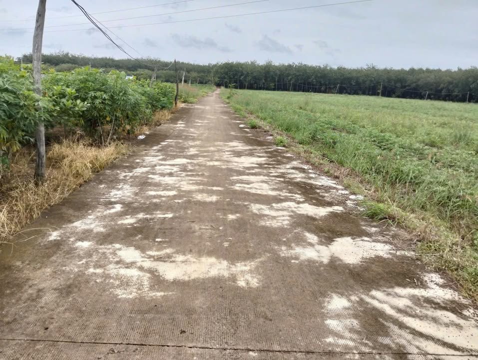 Đất nền 360m² tại Thanh An, Hớn Quản giá chỉ 130 triệu - Tiềm năng đầu tư lớn!