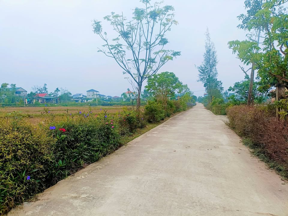 Đất nền thổ cư Bình Tiến, Hà Huy Tập, 150m² giá 1 tỷ - Đầu tư sinh lời ngay!