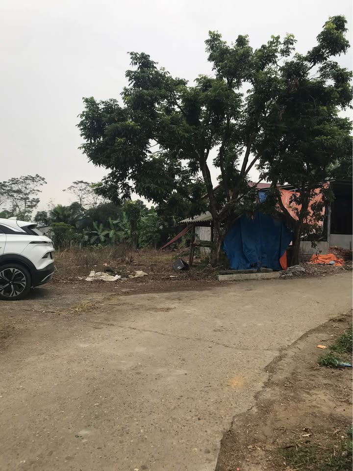 Đất thổ cư 150m² phường An Tường, Tuyên Quang chỉ 1.2 tỷ - Cơ hội đầu tư hấp dẫn!