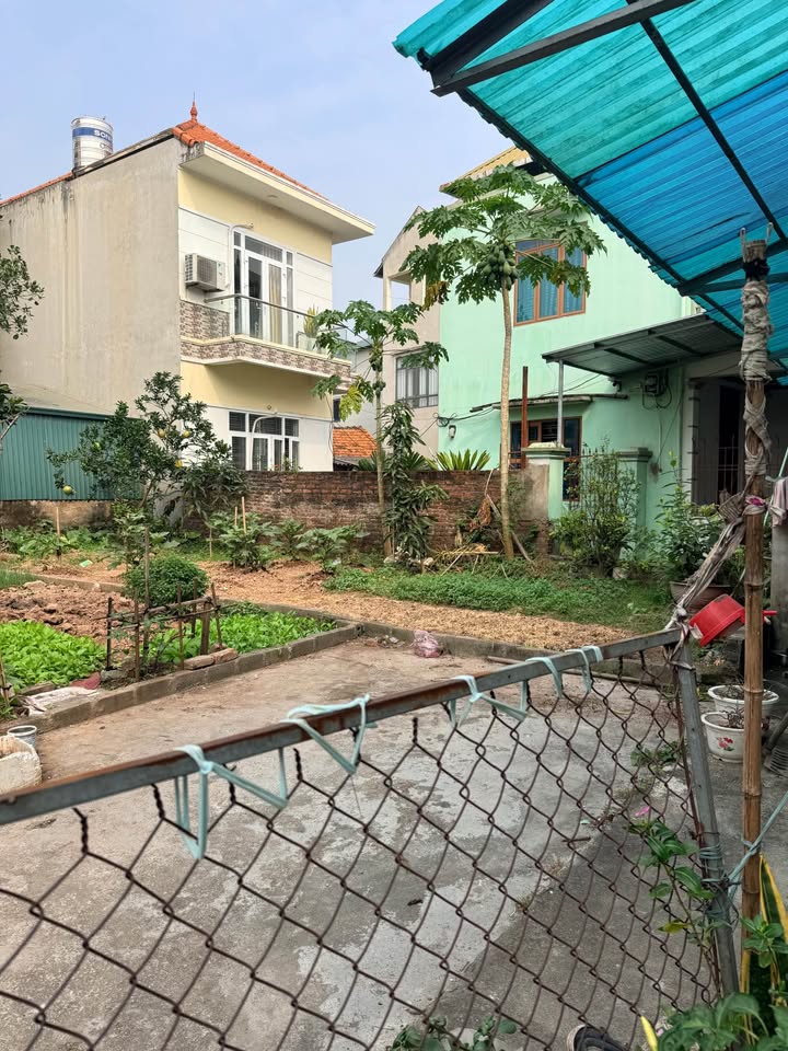 Đất nền phường Quất Động, Thường Tín 140.1m² - Vị trí đắc địa, giao thông thuận lợi!