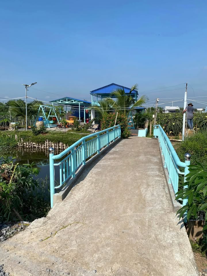 Bán gấp Homestay tại Kiểng Phước, Gò Công Đông, 1262m² - Tiềm năng du lịch lớn!