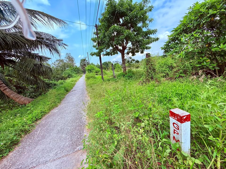 Đất nền Phường 8 Trà Vinh 954m² giá 3.2 tỷ - Cơ hội đầu tư sinh lời cao!