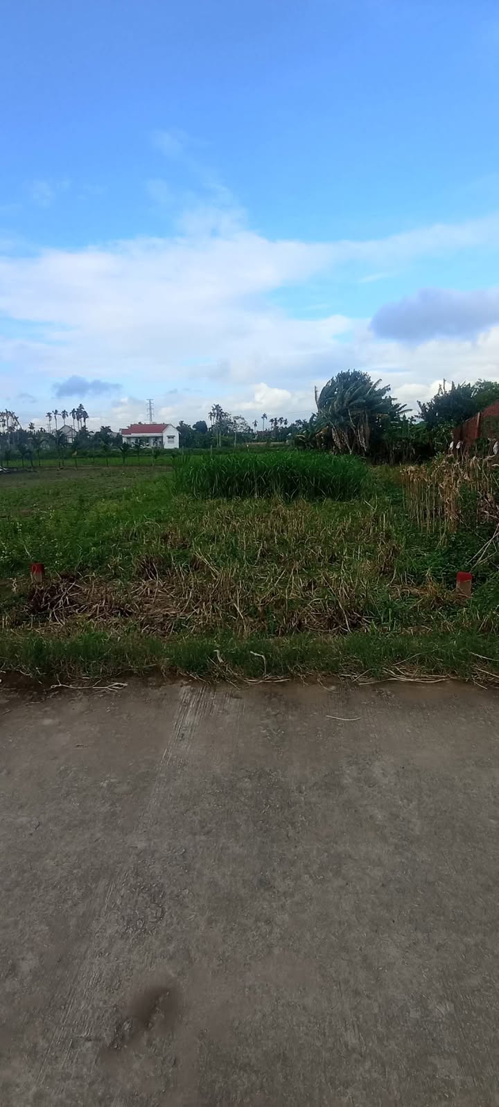 Đất nền Thôn 5, xã Long Phụng, Đức Phổ 200m² - Vị trí đẹp, giao thông thuận lợi