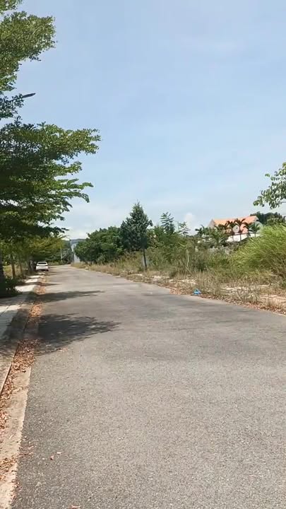 Đất Biệt Thự Bầu Sen Đức Phổ 202m² chỉ 1.3 tỷ - Cơ hội đầu tư hấp dẫn!