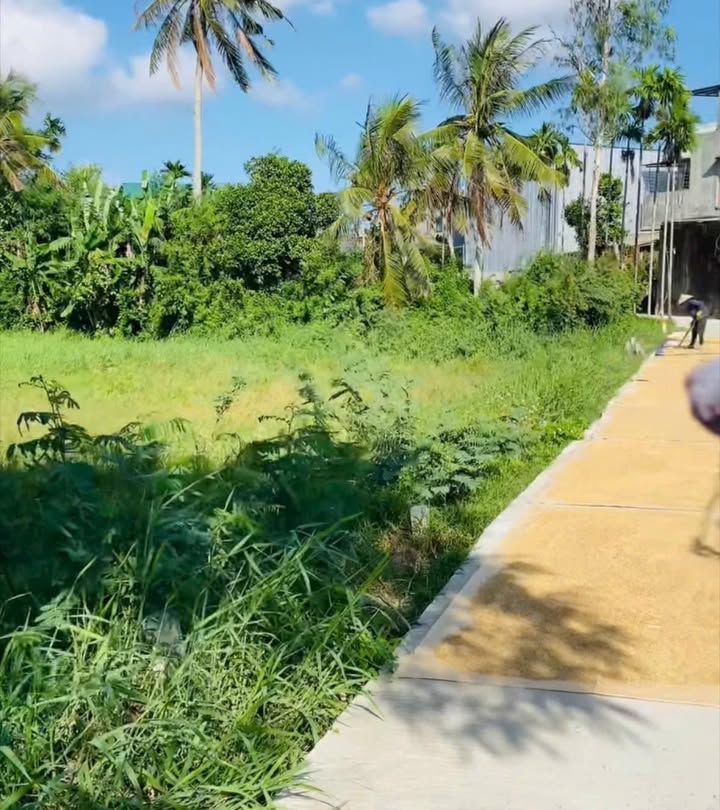 Đất nền Tịnh An, Quảng Ngãi 655m² giá 300 triệu - Cơ hội đầu tư hấp dẫn!