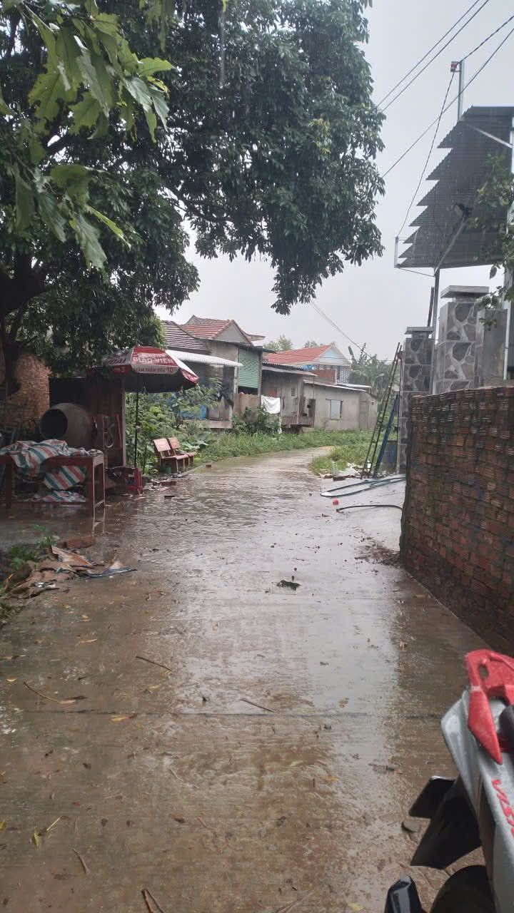 Đất nền 200m² thôn 4, xã Long Phụng giá 900 triệu - Đầu tư sinh lời ngay!