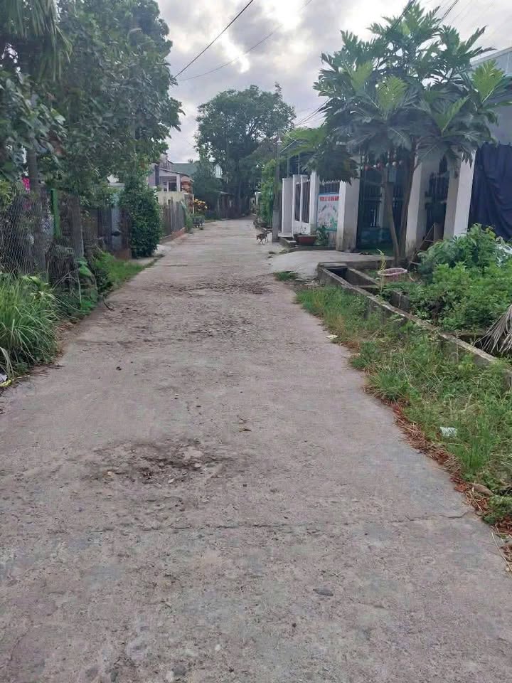 Đất đường Thanh Hóa, thôn Thọ Tân, 132m² chỉ 890 triệu - Cơ hội đầu tư hiếm có!