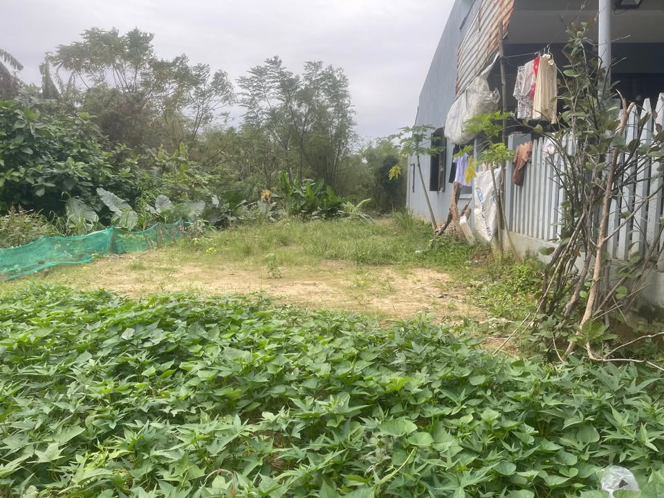 Đất nền Điện Phước, Điện Bàn 100m² giá 700 triệu - Mặt tiền rộng rãi, sẵn sàng đầu tư!