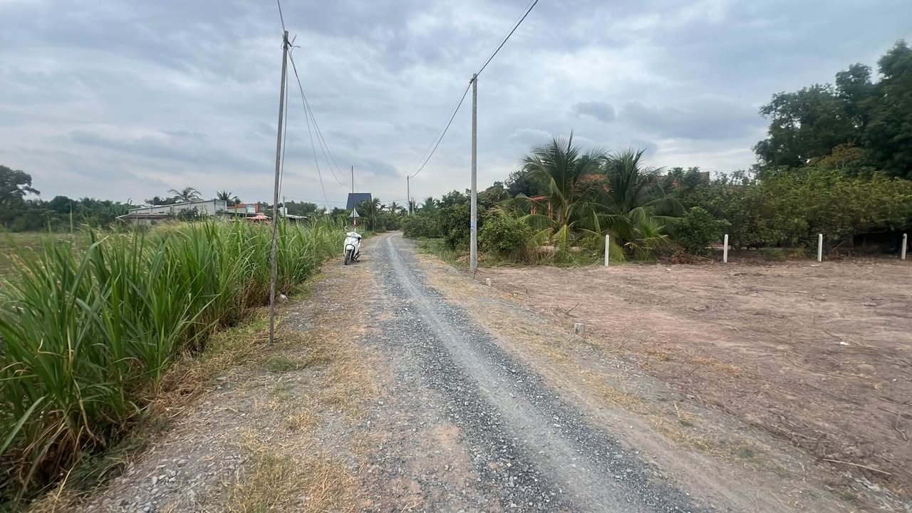 Đất nền 115m² tại ấp Phước Hòa, Gò Dầu, Tây Ninh - Giá chỉ 385 triệu thương lượng!