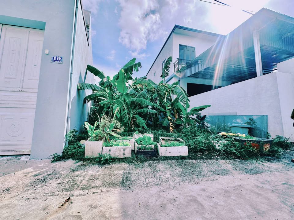 Lô đất đẹp Quảng Định, Thanh Hóa 90m² giá chỉ 1.268 tỷ - Đầu tư sinh lời hấp dẫn!