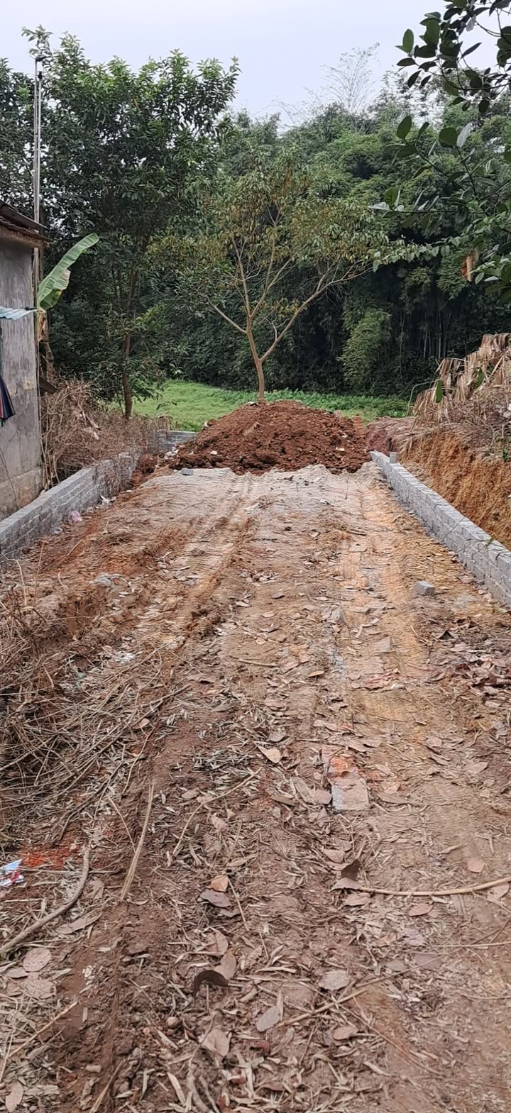 Đất thổ cư Tân Lập 130m² giá 1.1 tỷ - Mặt tiền rộng, vị trí đắc địa!