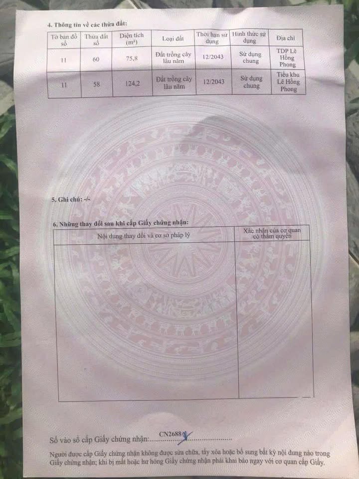 Đất nền Thị Trấn Đu, Phú Lương 250m² giá 1.2 tỷ - Đầu tư sinh lời ngay!