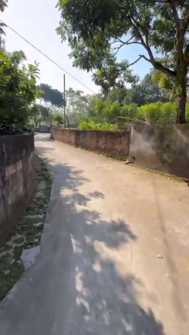 Đất thổ cư Cổ Lũng 250m² giá 500 triệu - Đầu tư sinh lời ngay!