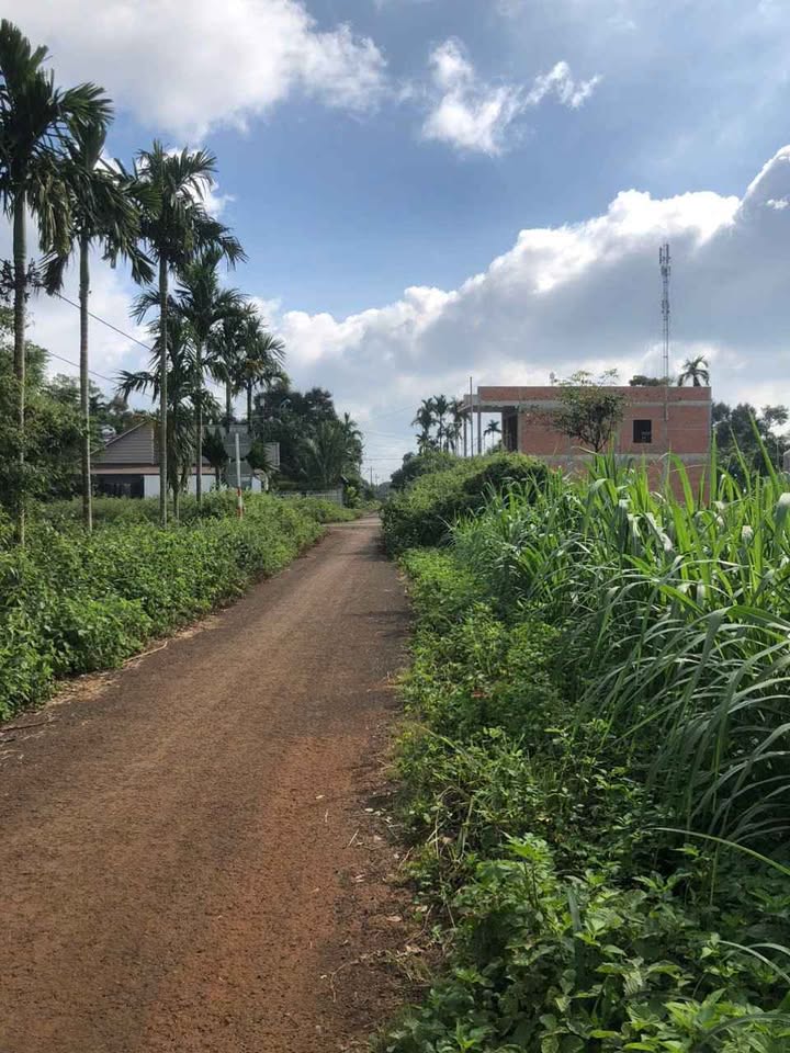 Đất nền Tân Lập, Buôn Ma Thuột 531m² giá 2.49 tỷ - Đầu tư sinh lời ngay!