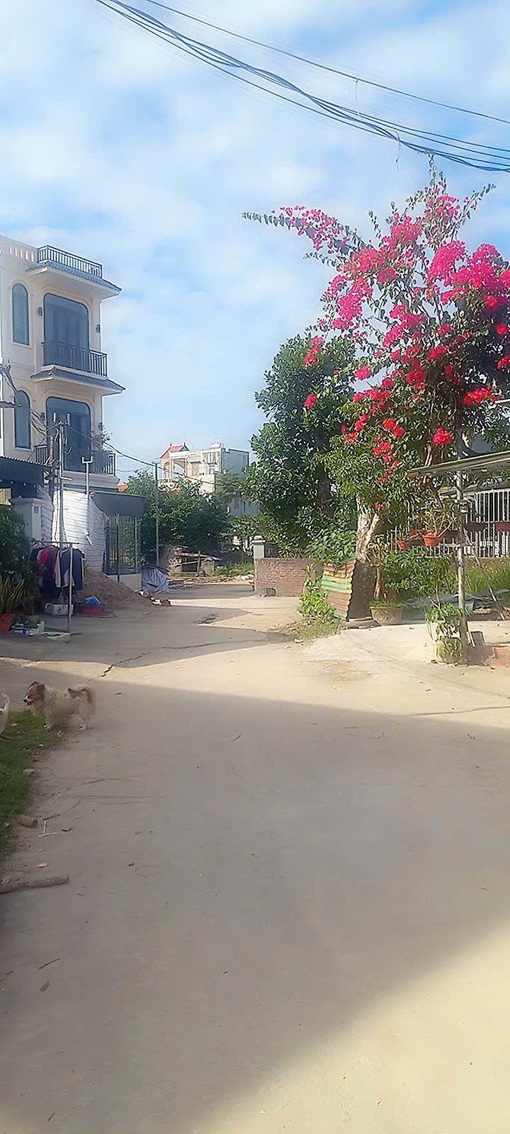 Đất nền Ninh Dương Móng Cái 500m² giá 1 tỷ - Đường thông thoáng, thuận tiện đi lại!