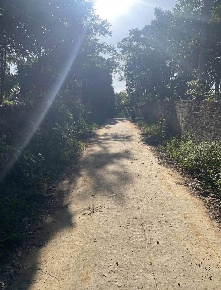 Đất vườn Phú Đô, Phú Lương 4000m² chỉ 1.72 tỷ - Cơ hội đầu tư tuyệt vời!