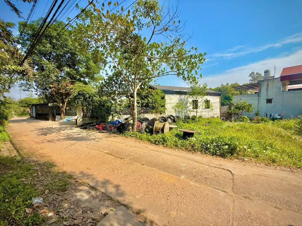 Đất thổ cư Tân Lập 112m² giá 1.7 tỷ - Tiềm năng tăng giá cao!