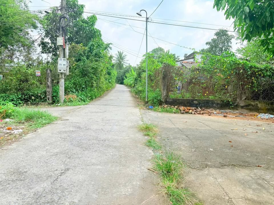 Đất thổ cư Mỹ Thạnh, Tân Trụ 138m² giá 399 triệu - Cơ hội đầu tư tuyệt vời!