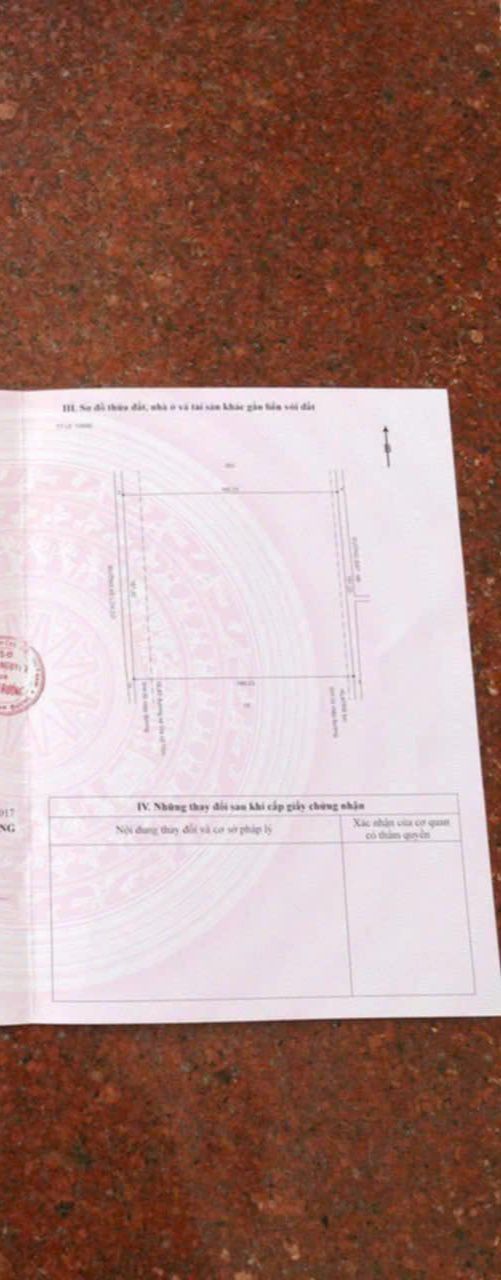 Đất nền Tân Hưng Bàu Bàng 30.000m² - Cơ hội đầu tư sinh lời!