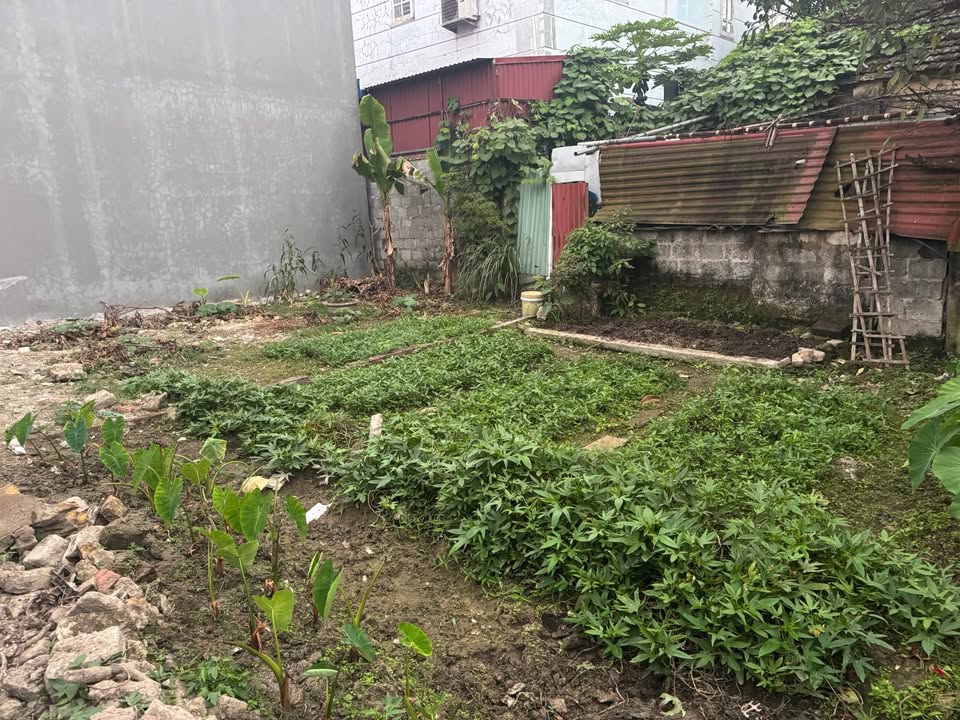 Đất nền chính chủ tại ngõ 285 Hoàng Quốc Việt, Kiến An, 40.8m² - Giá 850 triệu đồng thương lượng!