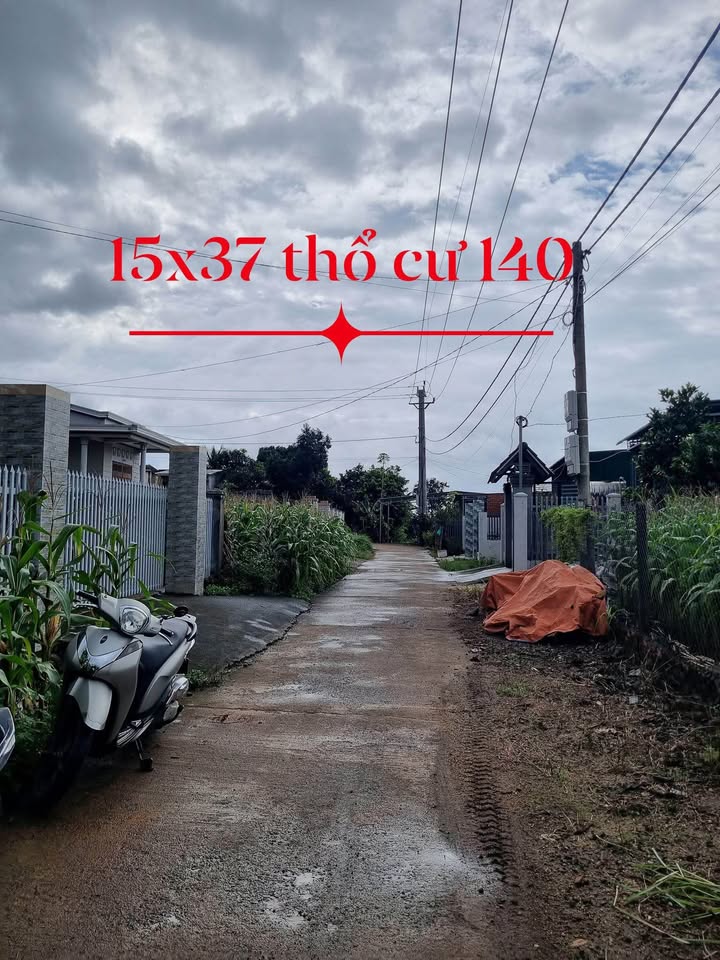 Đất thổ cư Hòa Khánh 555m² giá 4.95 tỷ - Đường thông tứ hướng, gần chợ