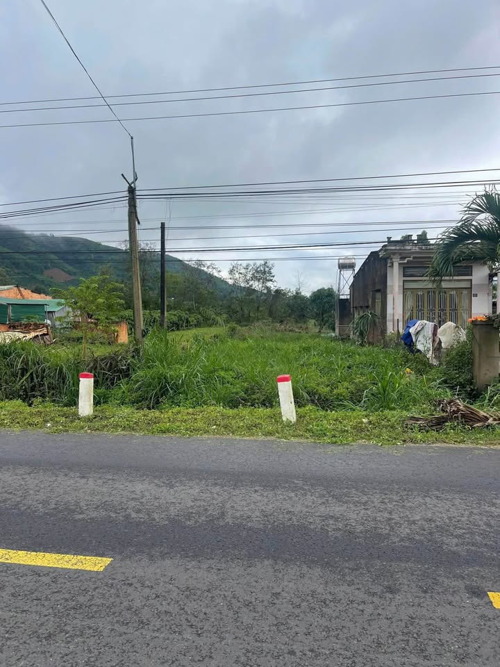 Đất thổ cư 688m² tại Tỉnh lộ 9, Krông Bông - Giá chỉ 220 triệu, thương lượng chính chủ!