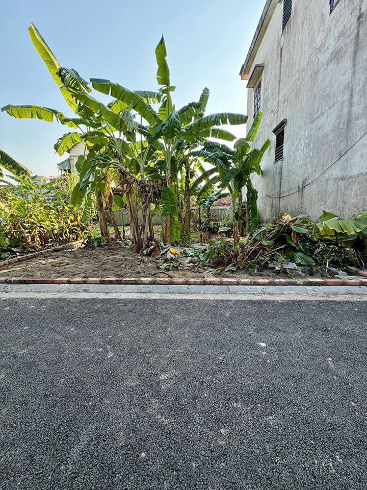 Đất nền Xuân Nộn 96m² giá rẻ - Đường ô tô vào tận nơi!