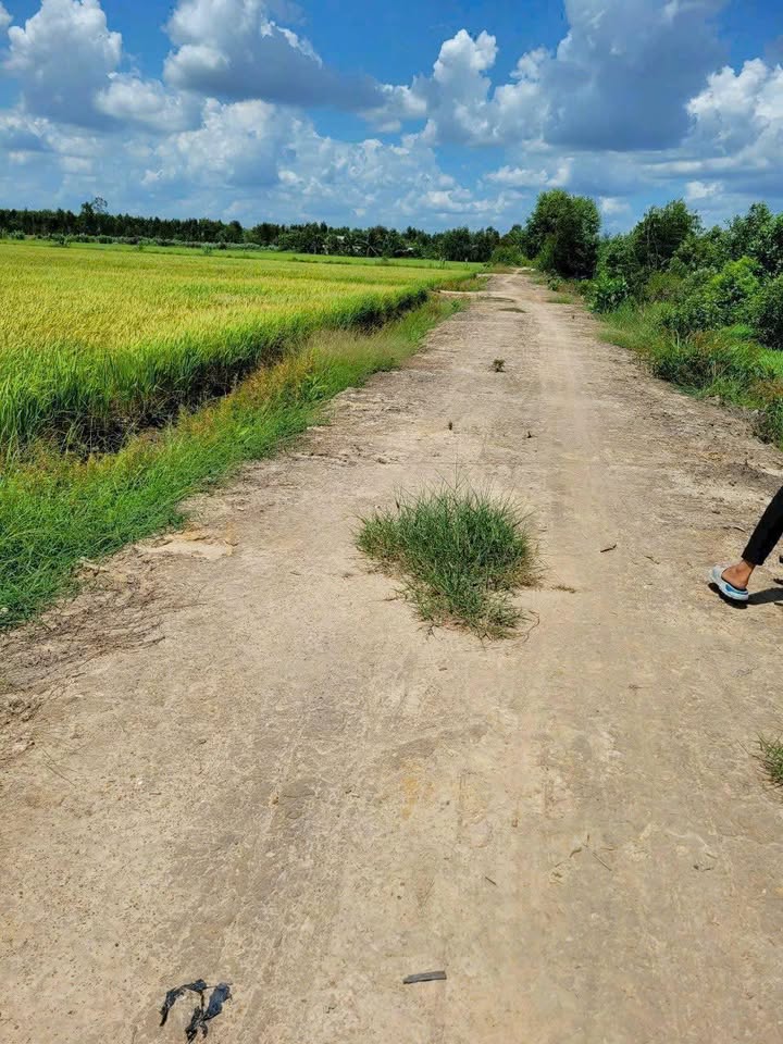 Đất vườn 780m² xã Tân Phú, Đức Hòa, Long An - Giá chỉ 1.2 tỷ, ô tô vào tận nơi!