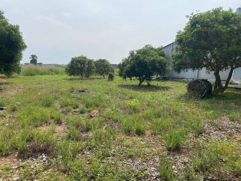 Đất nền Tam Phước, Long Điền 2800m² giá 3.5 tỷ - Tiềm năng đầu tư tốt!