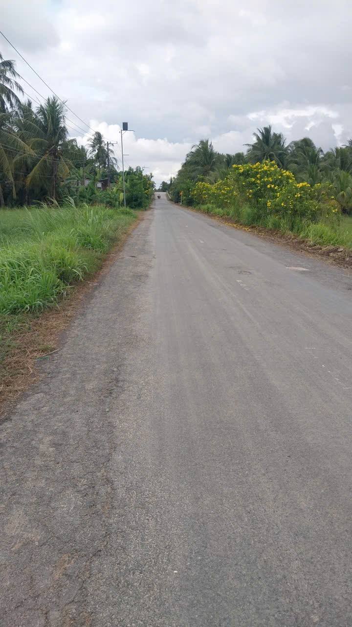 Đất mặt tiền đường 911, xã Song Lộc, 1140m² giá 1.5 tỷ - Cơ hội đầu tư hấp dẫn!