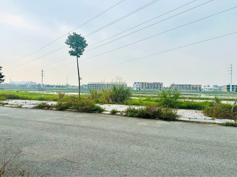 Đất nền phường Đông Sơn, Thanh Hóa 97m² giá 2 tỷ - Đối diện trường Nobel School!