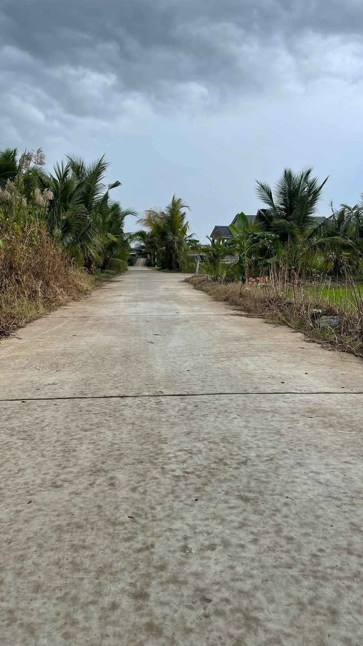 Đất nền mặt tiền Đường Dal 3m50, Tân Thạnh, Long Phú 20250m² giá chỉ 600 triệu - Cơ hội đầu tư tuyệt vời!