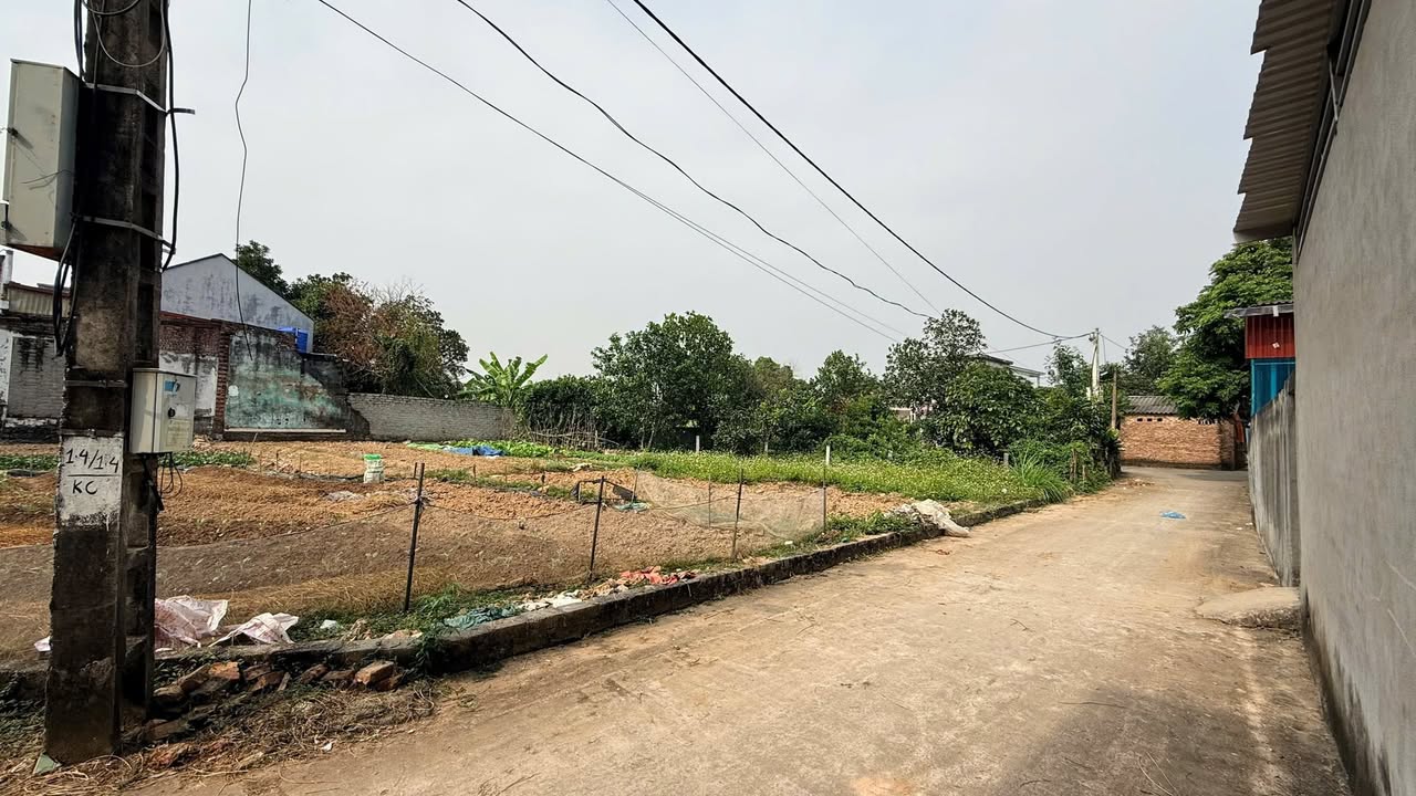 Đất thổ cư Đức Giang, Yên Dũng 108m² giá chỉ 1 tỷ - Cơ hội vàng cho đầu tư!