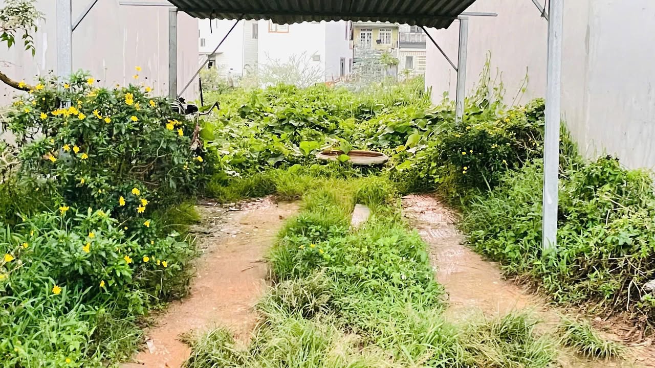 Đất nền hẻm ô tô Trạng Trình, Đà Lạt 97m² giá 3.8 tỷ - Đầu tư sinh lời ngay!