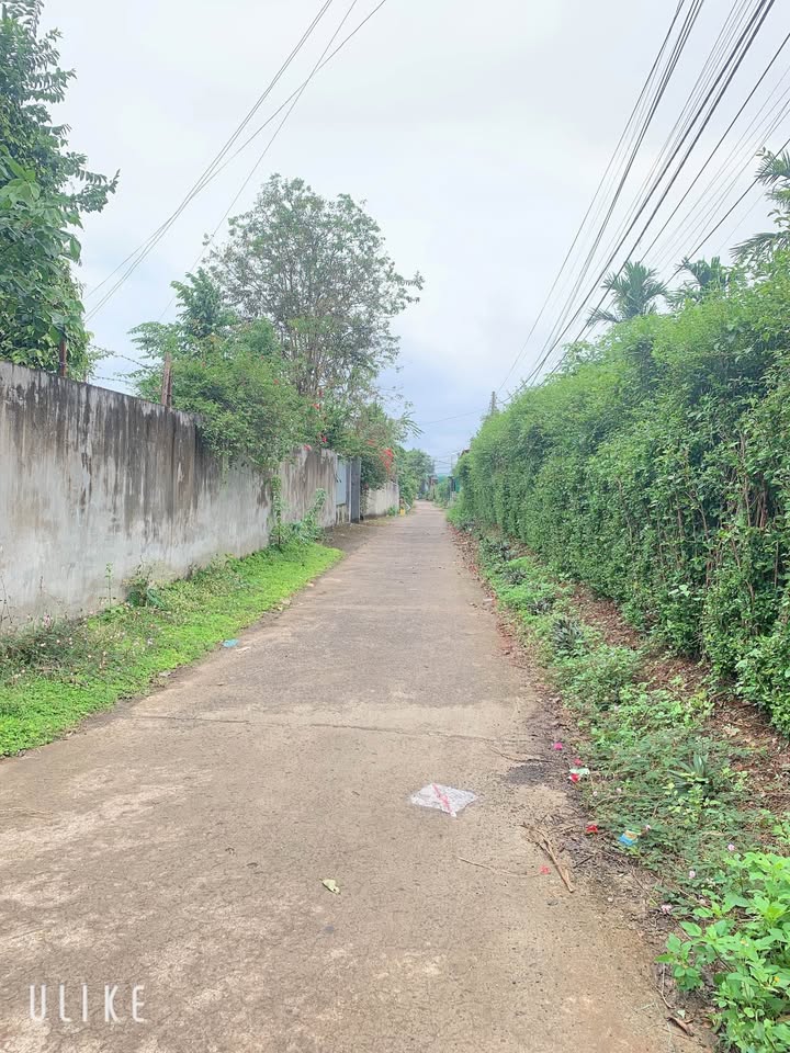 Đất nền thôn 1, phường Ea Kao, Buôn Ma Thuột 175m² giá 1.1 tỷ - Cơ hội đầu tư hấp dẫn!