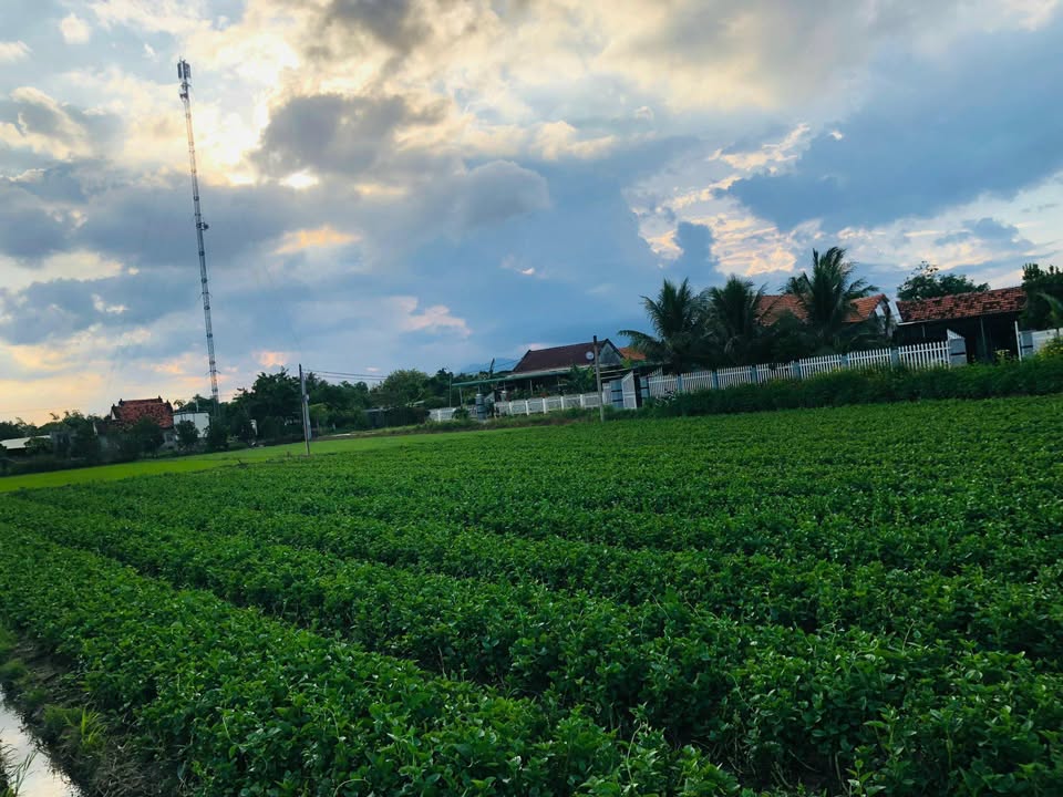 Đất nền TDP Phước Thuận, Ninh Hòa 178.8m² giá chỉ 400 triệu - Cơ hội đầu tư tuyệt vời!