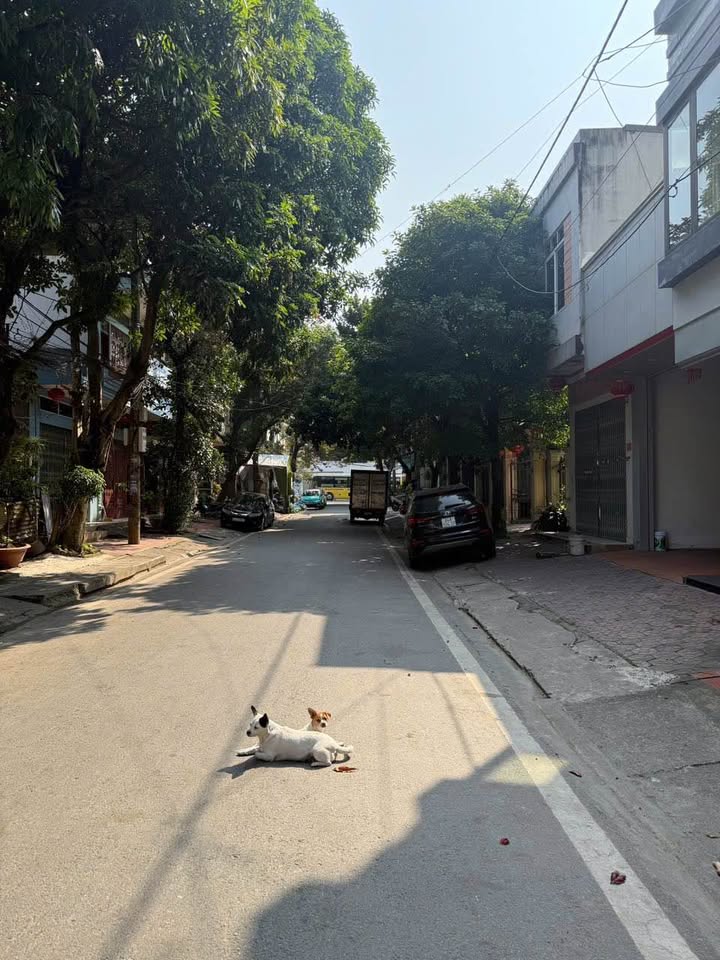 Nhà C4 đường Lê Khôi, Phố Mới 80m² giá 2.x tỷ - Giao dịch nhanh chóng!