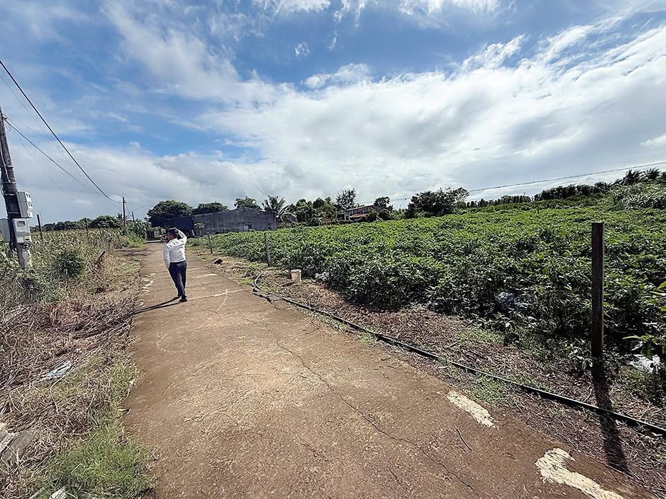 Đất nền Ea Kao Buôn Ma Thuột 300m² giá 875 triệu - Cơ hội vàng cho nhà vườn!