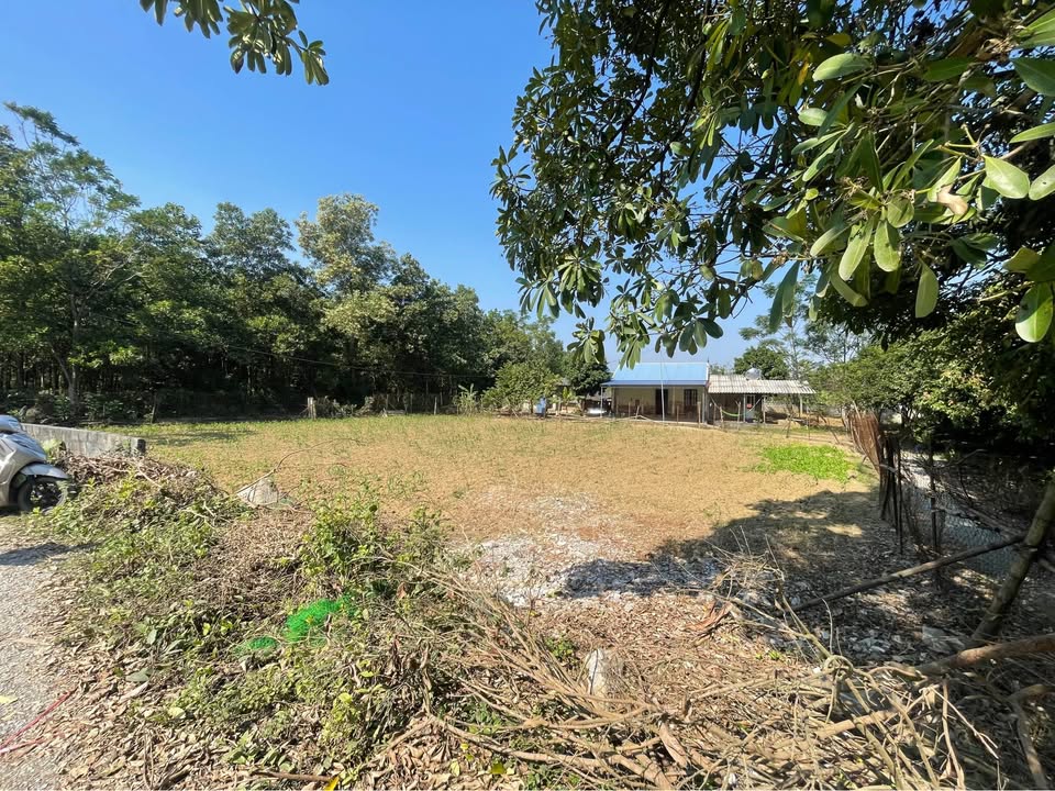 Lô đất 3 mặt tiền Phú Thành 1228m² - Tiềm năng đầu tư lớn!